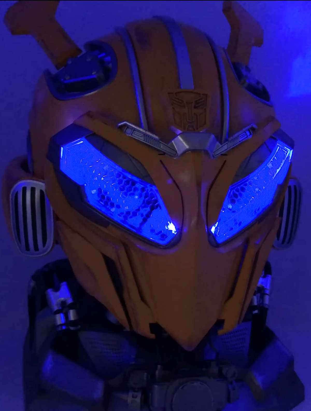BUMBLEBEE HELMET