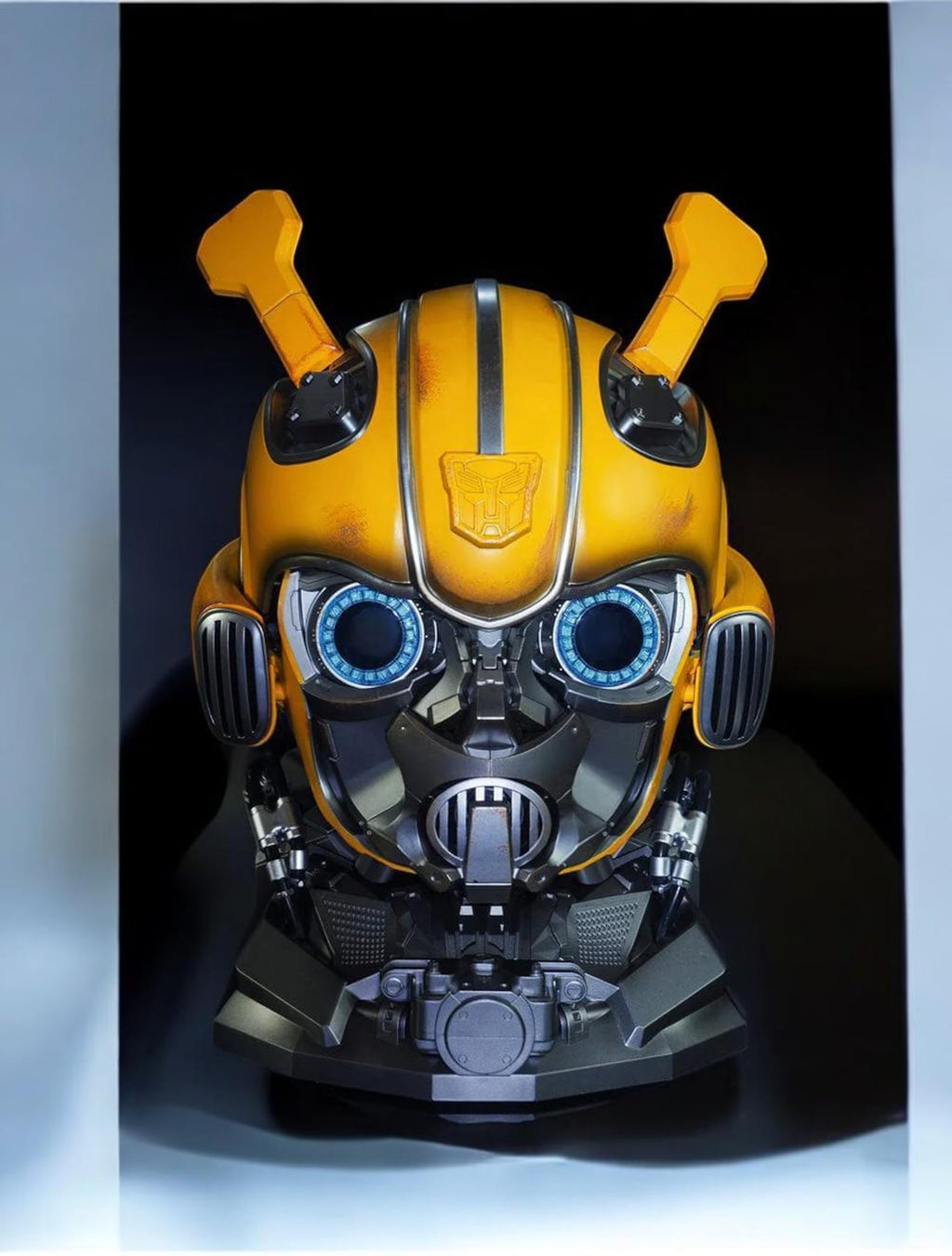 BUMBLEBEE HELMET